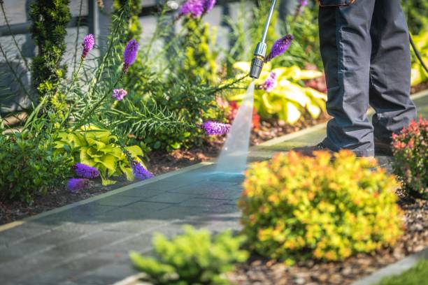 Best Patio and Deck Pressure Washing  in Mankato, MN