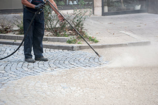 Best Winterizing Services  in Mankato, MN