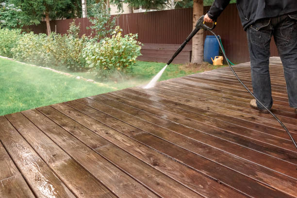 Best Fence Cleaning  in Mankato, MN
